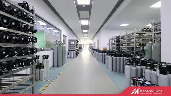 Caldeira de Vapor Wns Caldeira a Gás de Condensação de Baixo Nox com Alta Eficiência Térmica